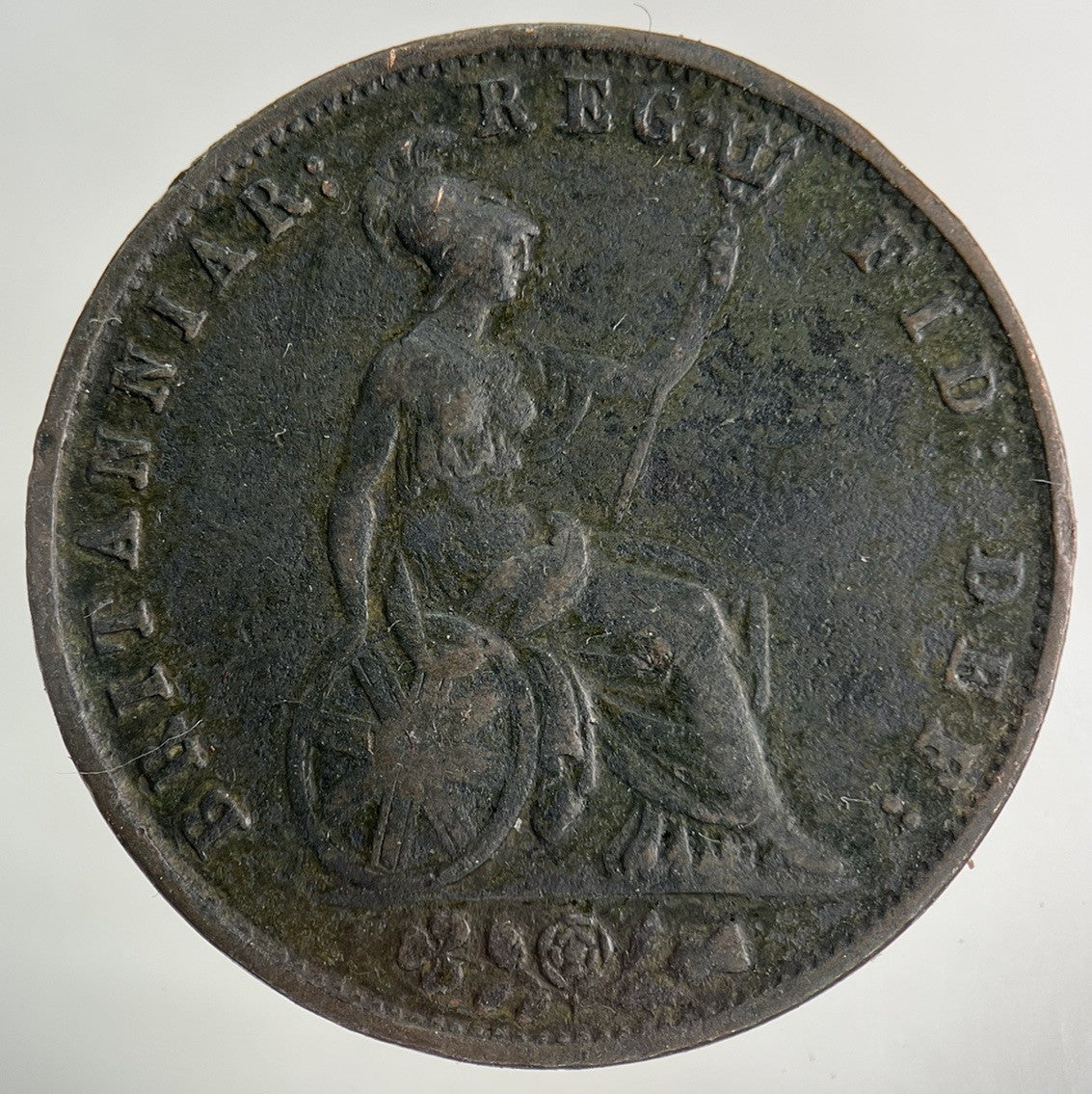 1854 Victoria Half - Penny Coin | Fine Collectable Grade
