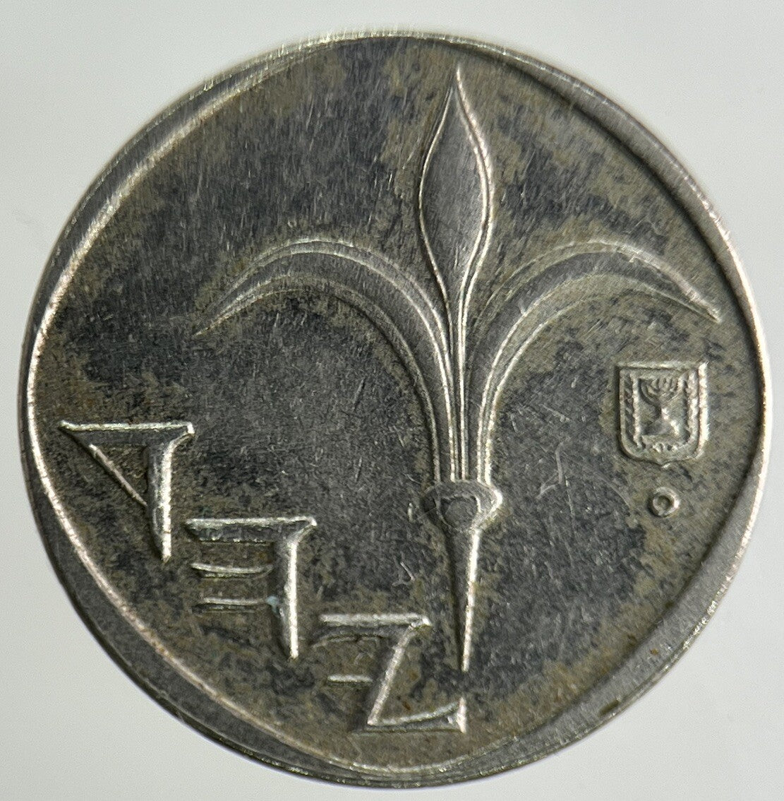 Israel New Sheqel Coin | Fine Collectable Grade