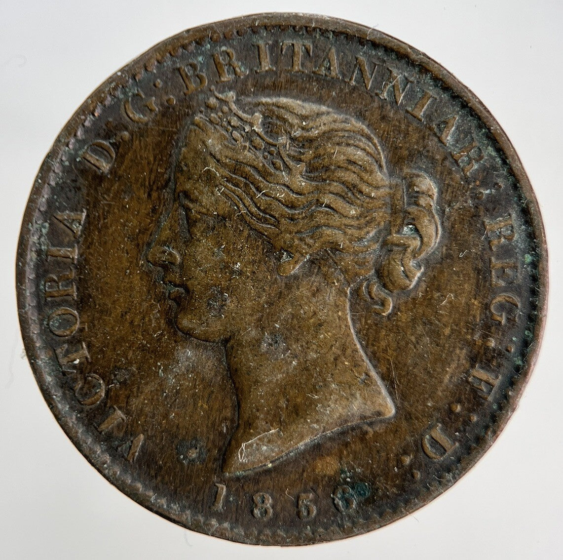1856 Victoria Province of Nova Scotia Half - Penny Token | Collectable Grade a1856