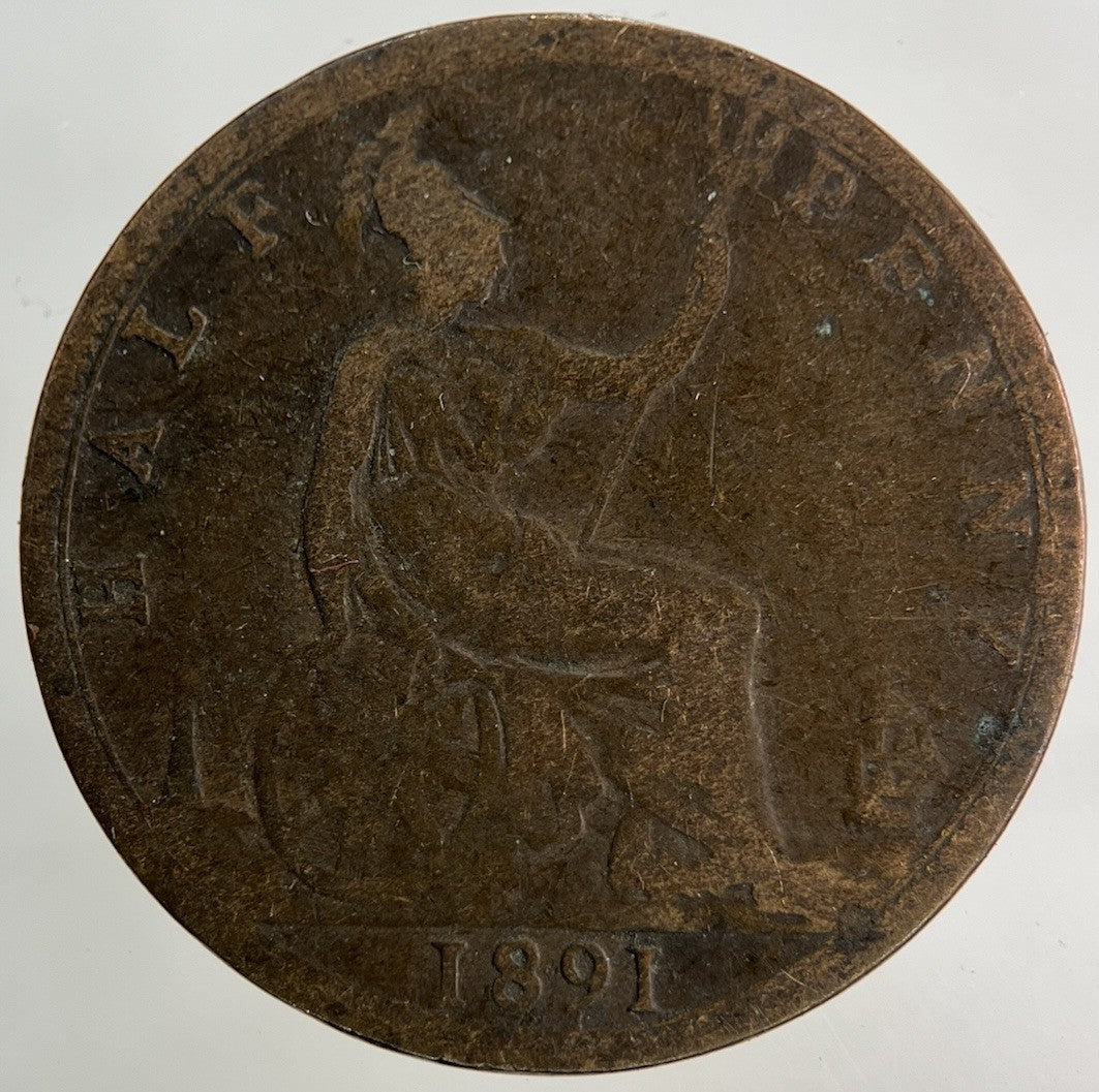 1891 Victoria Half - Penny Coin | Collectable Grade