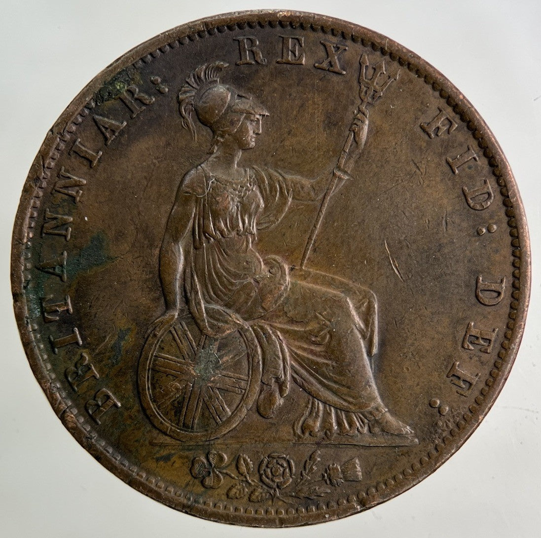 1837 William IV Half - Penny Coin | Very High Grade