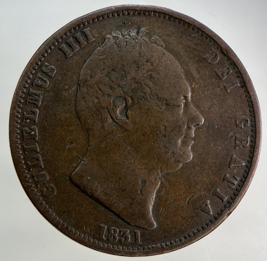 1831 William IV Half - Penny Coin | Fine Collectable Grade