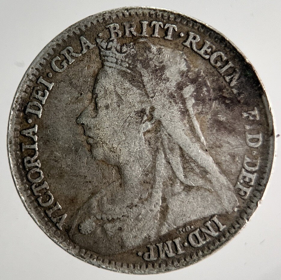 1895 Veiled Head Victoria Threepence Silver Coin | Collectable Grade | a4016