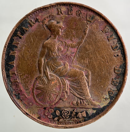 1853 Victoria Half - Penny Coin | Fine Collectable Grade