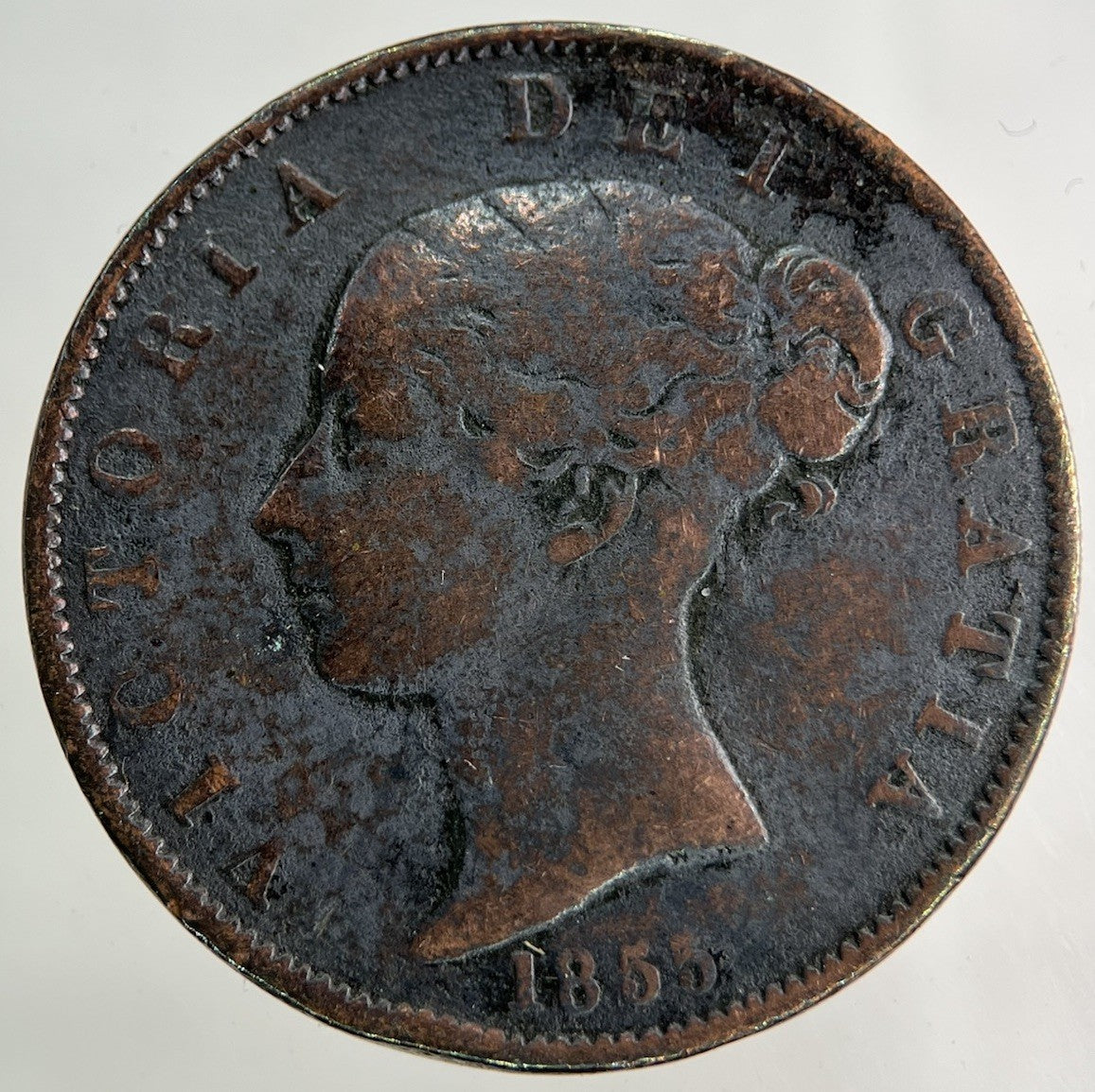 1855 Victoria Half - Penny Coin | Collectable Grade