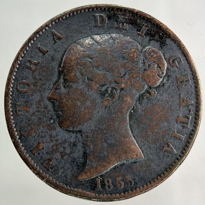 1855 Victoria Half - Penny Coin | Collectable Grade