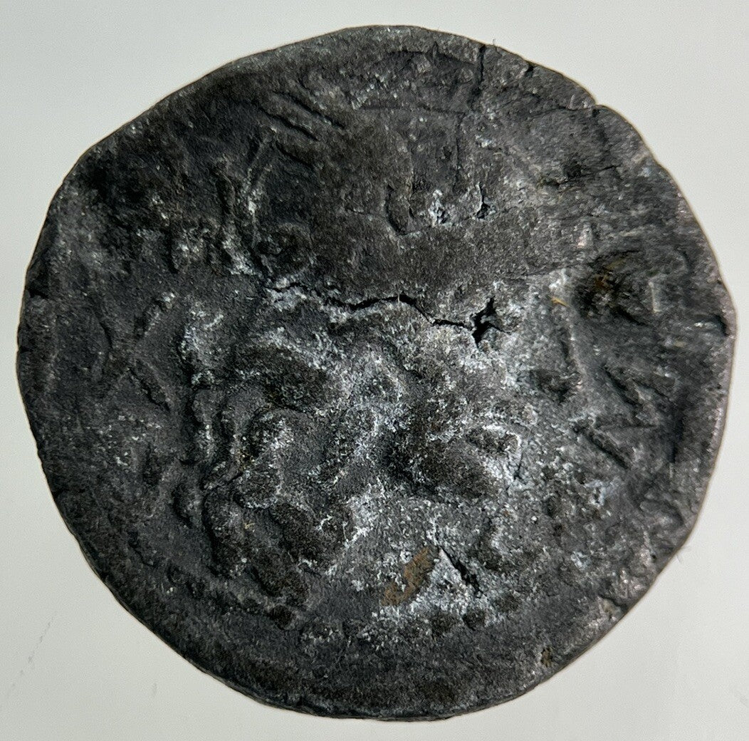 Ancient Roman Chariot Denarius Coin | Collectable Grade