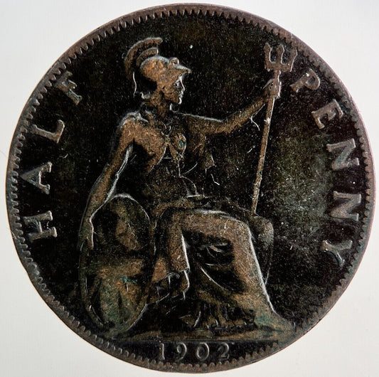 1902 Edward VII Half - Penny Coin | Collectable Grade