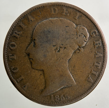 1855 Victoria Half - Penny Coin | Collectable Grade