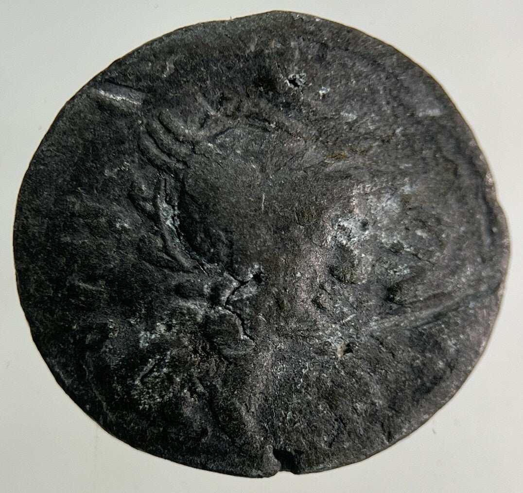 Ancient Roman Chariot Denarius Coin | Collectable Grade