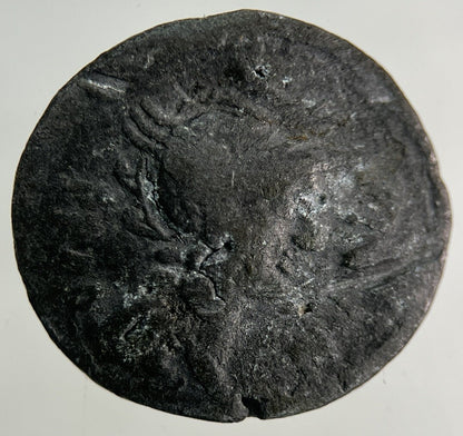 Ancient Roman Chariot Denarius Coin | Collectable Grade