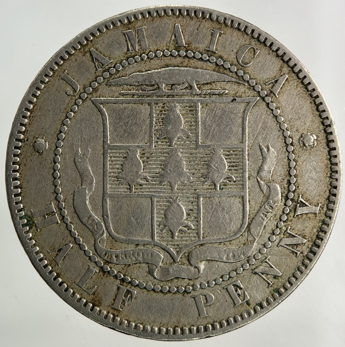 1869 Jamaica Half - Penny Coin | Fine Collectable Grade