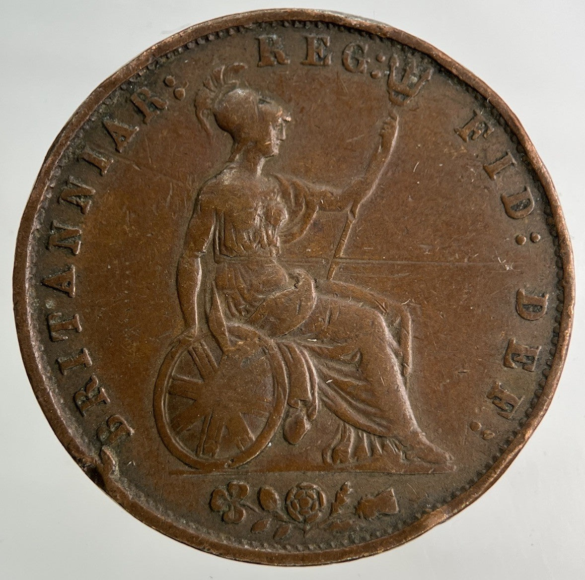 1853 Victoria Half - Penny Coin | Fine Collectable Grade
