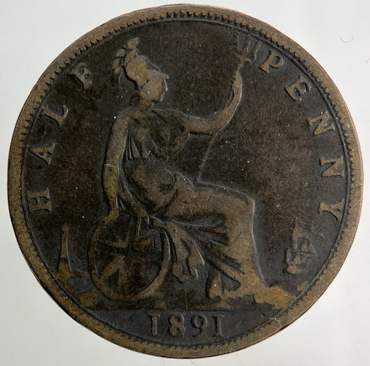 1891 Victoria Half - Penny Coin | Collectable Grade