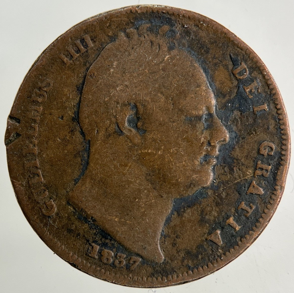 1837 William IV Farthing Coin | Collectable Grade
