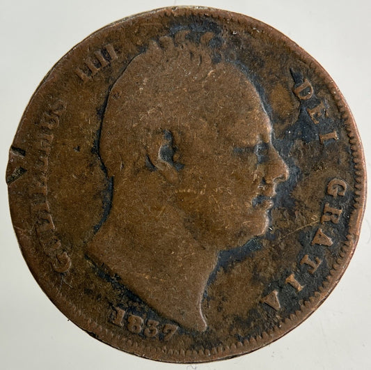 1837 William IV Farthing Coin | Collectable Grade
