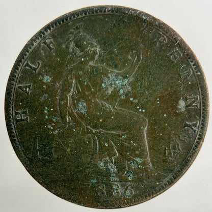 1886 Victoria Half - Penny Coin | Collectable Grade