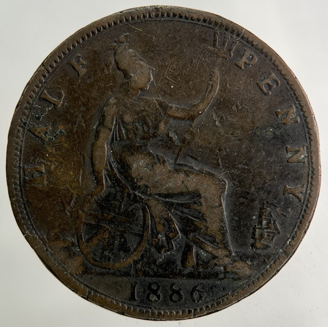 1886 Victoria Half - Penny Coin | Collectable Grade