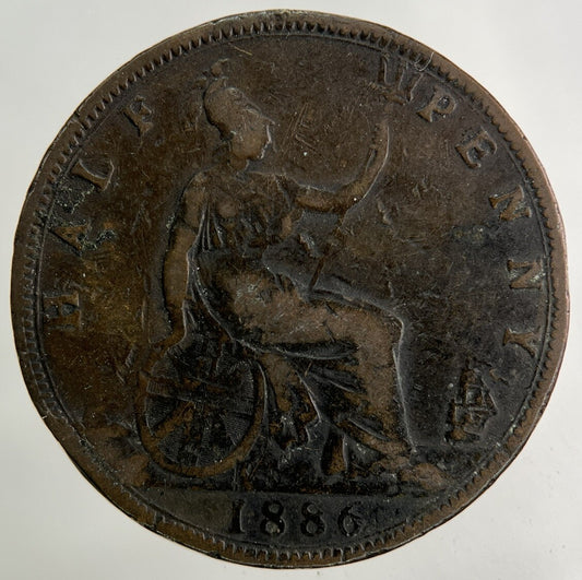 1886 Victoria Half - Penny Coin | Collectable Grade