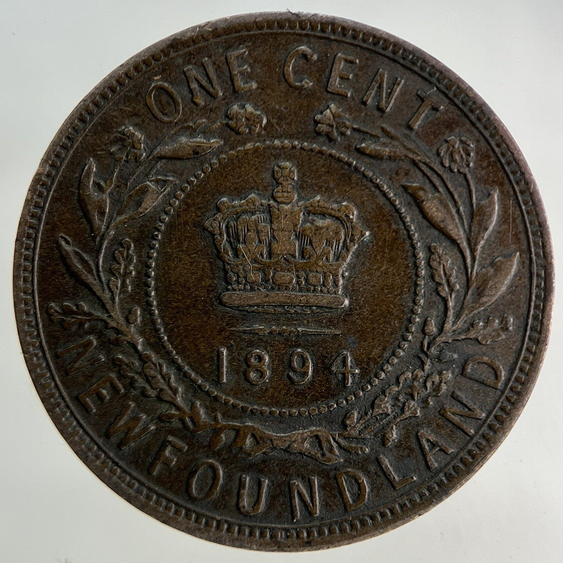 1894 Canada New Found - Land One Cent Coin | Fine Collectable Grade