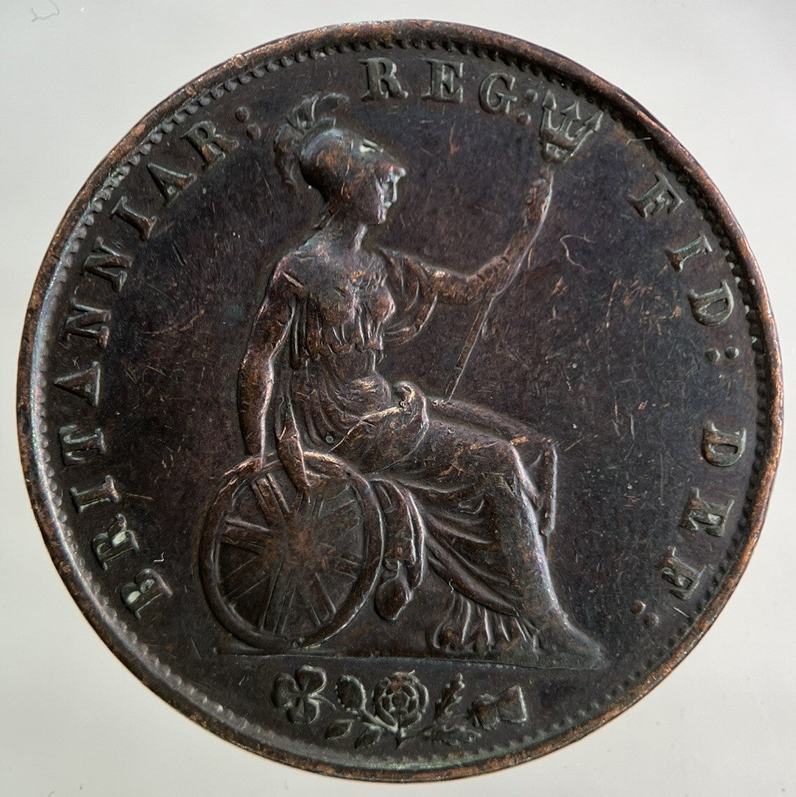 1853 Victoria Half - Penny Coin | Fine Collectable Grade