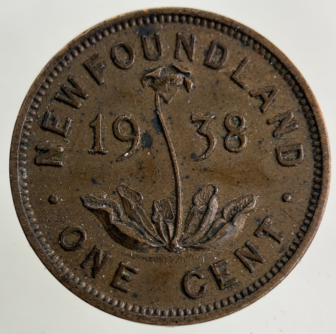 1938 Canada New Found - Land One Cent Coin | Very High Grade