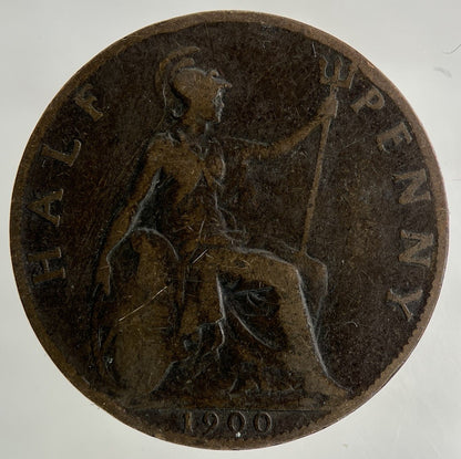 1900 Victoria Half - Penny Coin | Collectable Grade