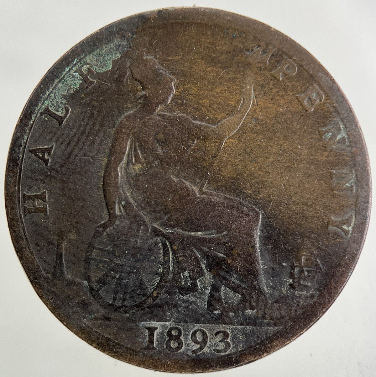 1893 Victoria Half - Penny Coin | Collectable Grade