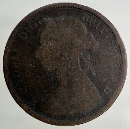 1890 Victoria Half - Penny Coin | Collectable Grade