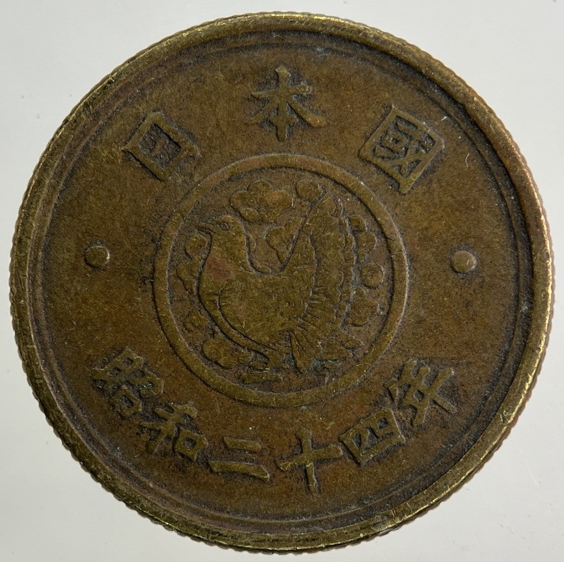 Japan 5 Yen Coin | Fine Collectable Grade