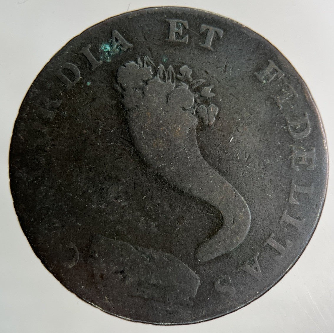 1795 British Inverness Half - Penny Coin | Collectable Grade