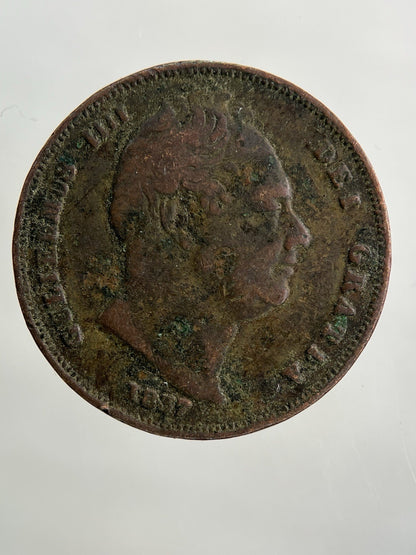 1837 William IV Farthing Coin | Collectable Grade