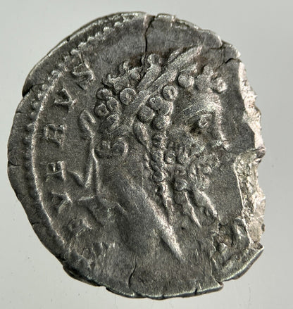 Ancient Roman Silver Denarius Coin | Fine Collectable Grade
