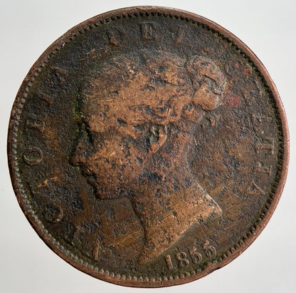 1855 Victoria Half - Penny Coin | Collectable Grade