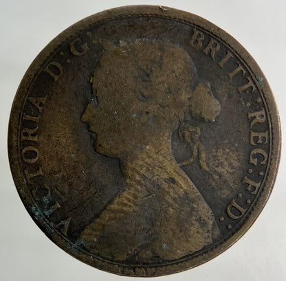 1862 Victoria Half - Penny Coin | Collectable Grade