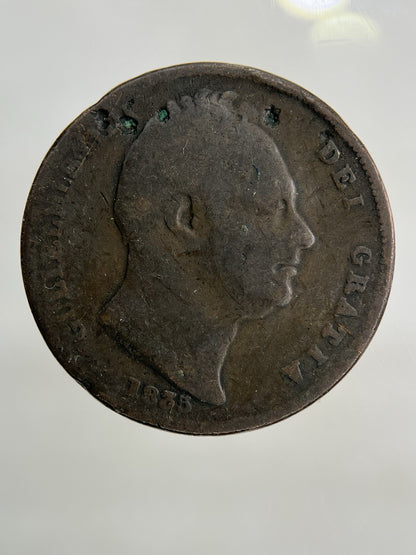 1835 William IV Farthing Coin | Collectable Grade