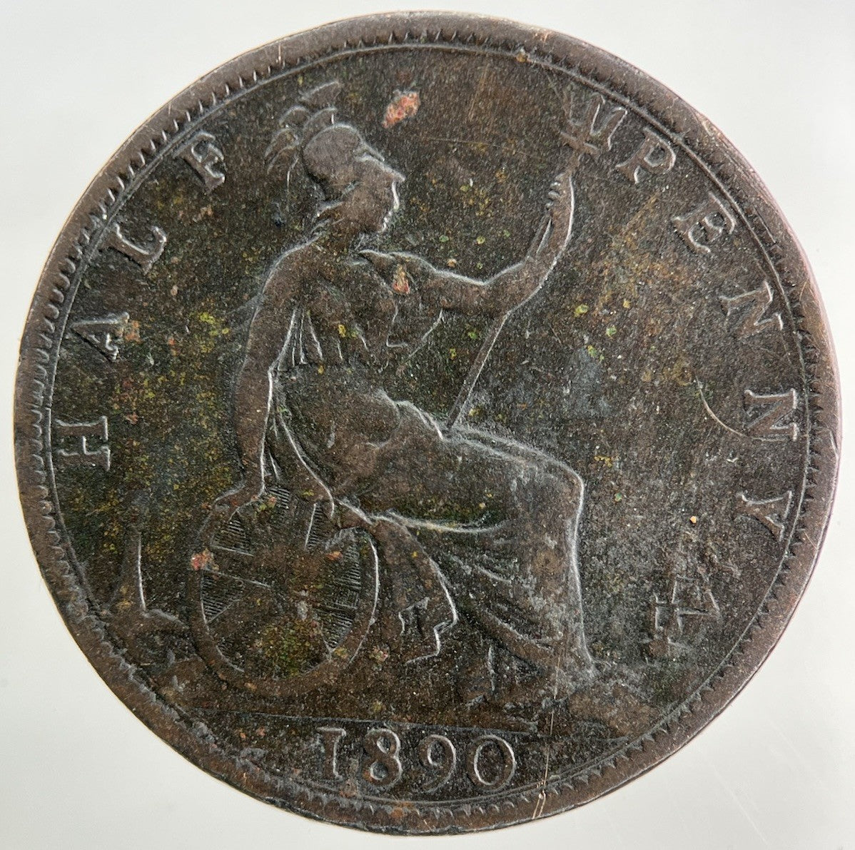 1890 Victoria Half - Penny Coin | Fine Collectable Grade