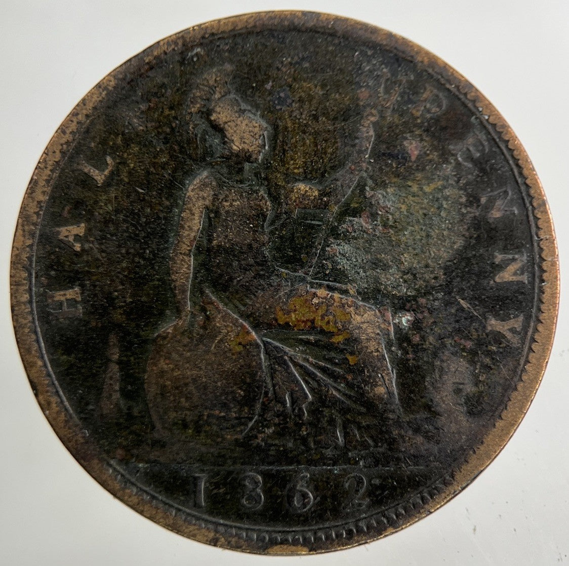 1862 Victoria Half - Penny Coin | Collectable Grade