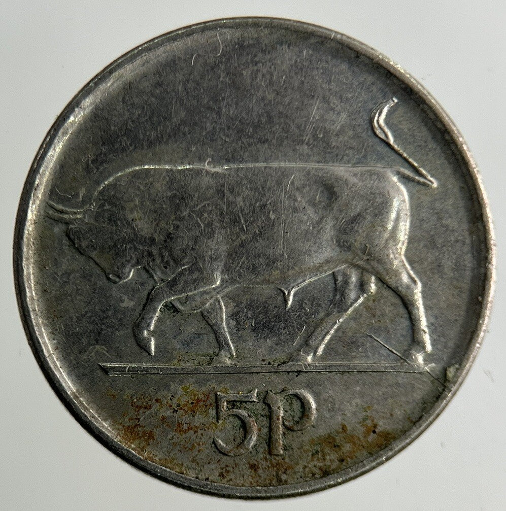 1992 Irish 5p Five - Pence Coin | Fine Collectable Grade