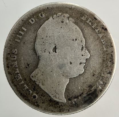 1834 William IV Shilling Silver Coin | Collectable Grade