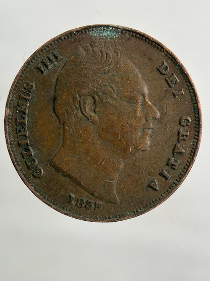 1835 William IV Farthing Coin | Fine Collectable Grade
