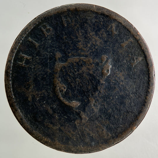 Irish Half - Penny Coin | Collectable Grade