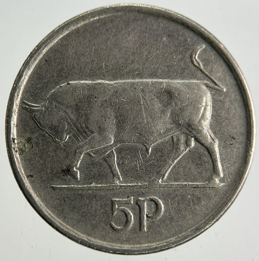 1992 Irish 5p Five - Pence Coin | Fine Collectable Grade