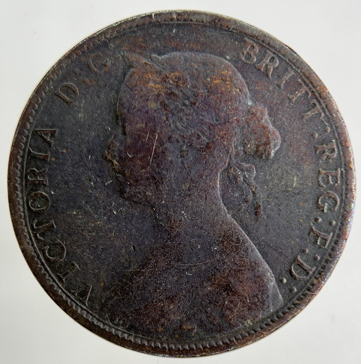 1862 Victoria Half - Penny Coin | Collectable Grade