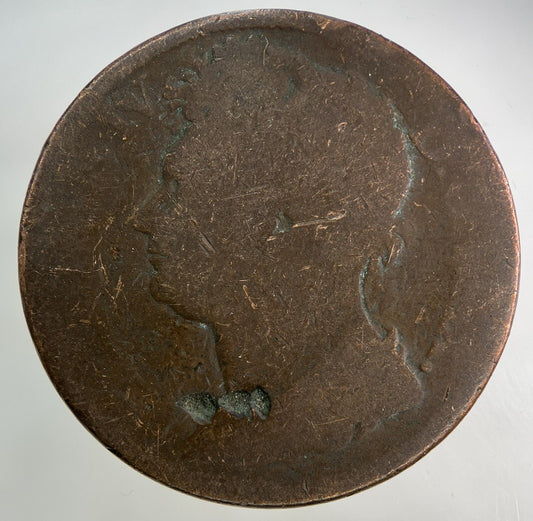 Irish One Penny Coin | Collectable Grade