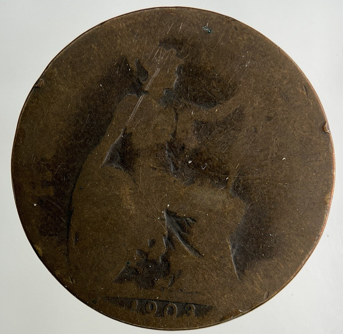 1903 Edward VII Half - Penny Coin | Collectable Grade