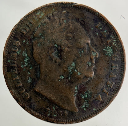 1834 William IV Farthing Coin | Collectable Grade
