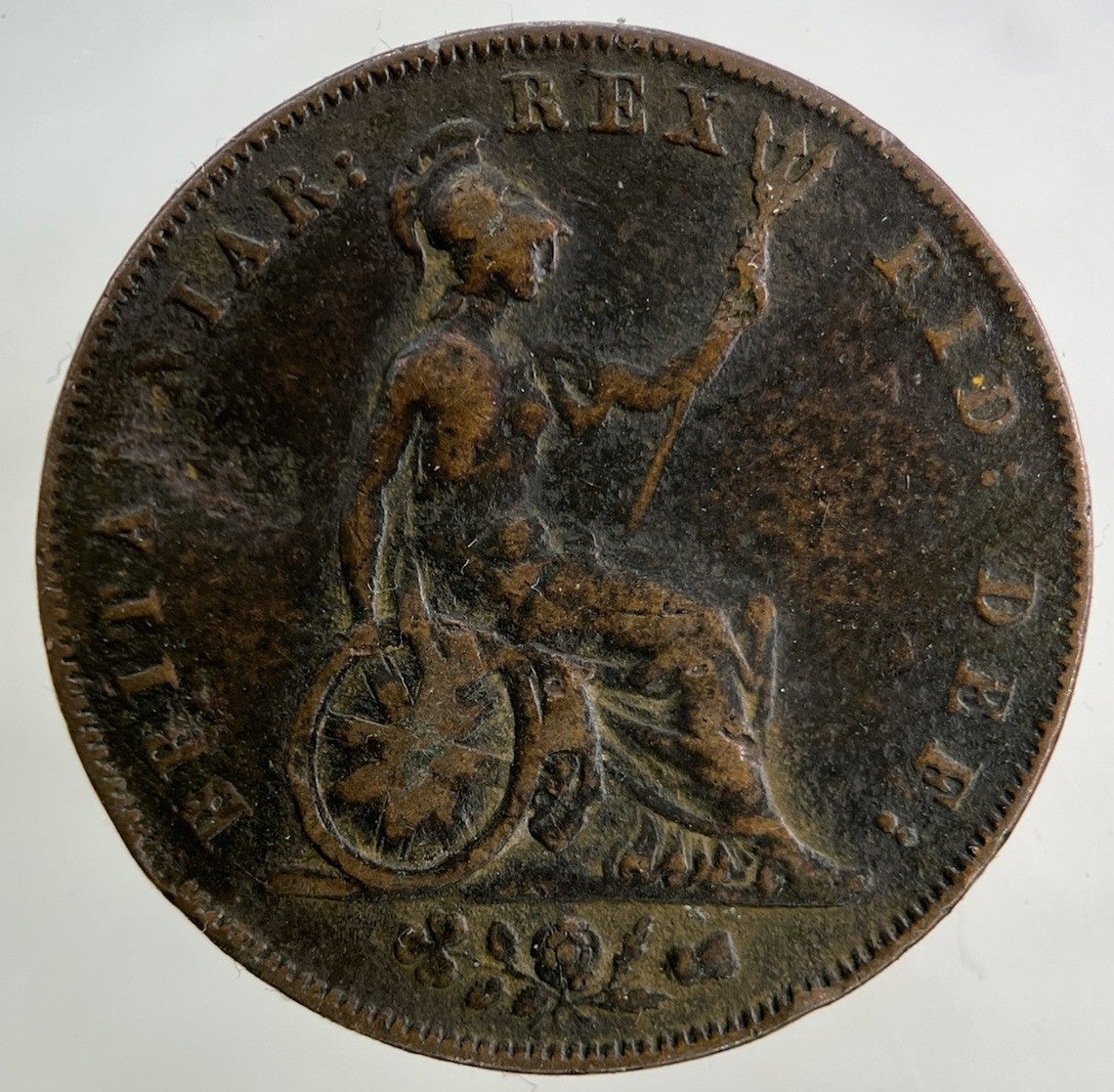1826 George IV Half - Penny Coin | Fine Collectable Grade