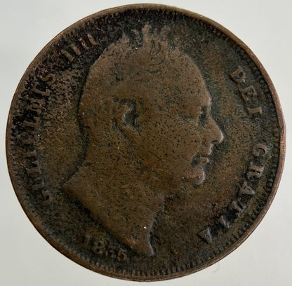 1835 William IV Farthing Coin | Collectable Grade