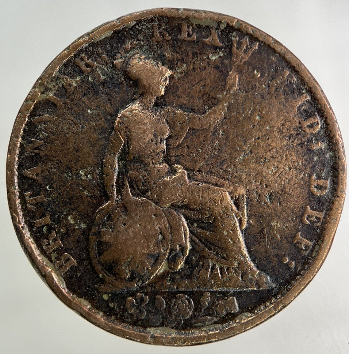 1831 William IV Half - Penny Coin | Collectable Grade